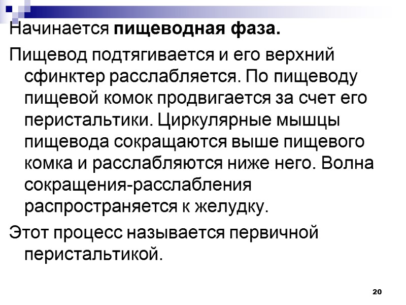 20 Начинается пищеводная фаза. Пищевод подтягивается и его верхний сфинктер расслабляется. По пищеводу пищевой